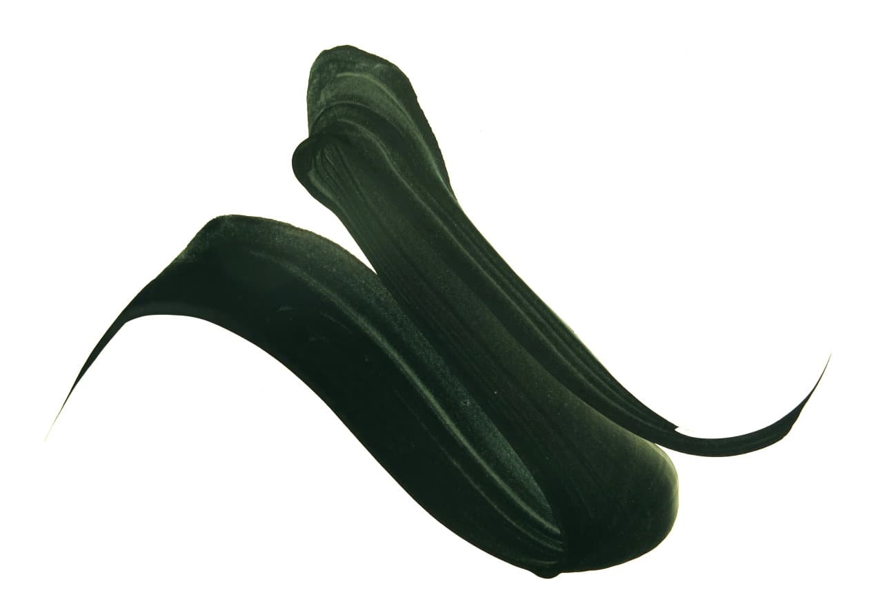 Schwertschlepper 1 2010 - Daniel Nagel
